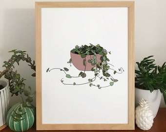 String of hearts plant print, original houseplant illustration - botanical drawing chain of hearts - wall art home decor
