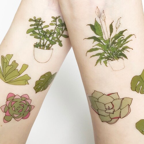 Succulent / Plant Temporary Tattoos Illustrated Pot Plants / - Etsy Hong Kong Succulent / Plant Temporary Tattoos Illustrated Pot Plants / - Etsy Hong Kong