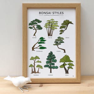 Bonsai Styles illustrated print botanical tree poster Japanese bonsai gift wall art home decor image 8