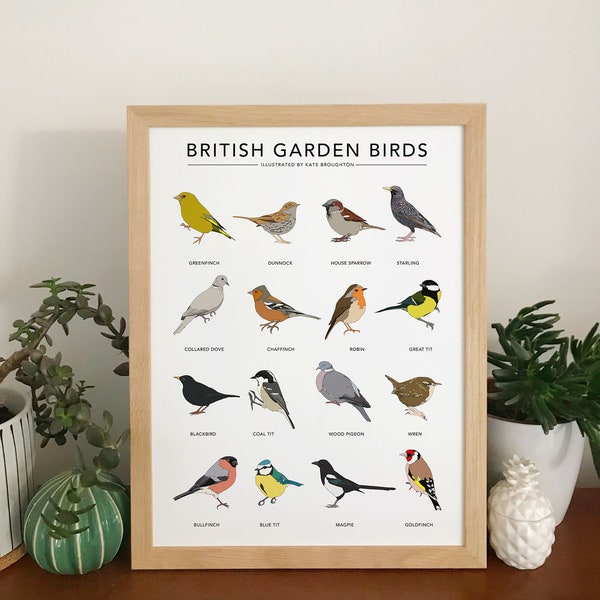 Garden bird print - 'British Garden Birds' poster - wildlife wall art, nature illustrations, birdwatching chart, nature gift, new home gift