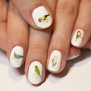 mixed bird nail transfers - illustrated nail art decals stickers - wildlife / nature / nail tattoos