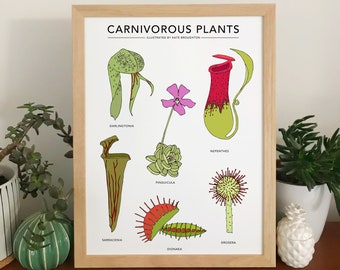 Carnivorous Plants print