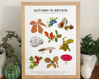 Autumn in Britain - illustrated wall art