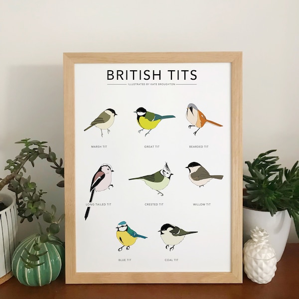 British Tits print - bird illustration - garden bird poster - bird home decor gift - wildlife wall art, nature illustrations -