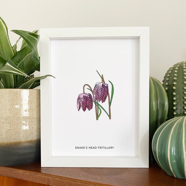 Snake's head fritillary illustrated wildflower print - small A5 print - botanical illustration