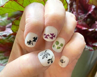 Plant nail transfers - houseplant leaf nail art decals - illustrated botanical nail stickers