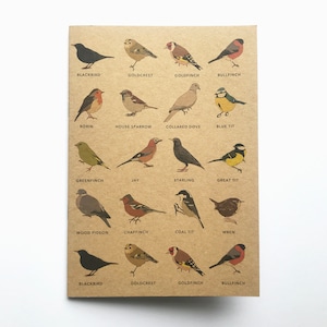 May include: A brown card featuring illustrations of various bird species, including a blackbird, goldcrest, and bullfinch. Each bird is labeled with its name in a clean, sans-serif font. The card is a nature-themed product.