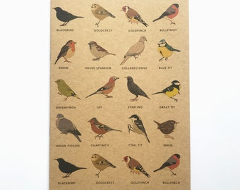 Garden Birds A5 plain 100% recycled notebook - wildlife / nature / birdwatching - bird stationery