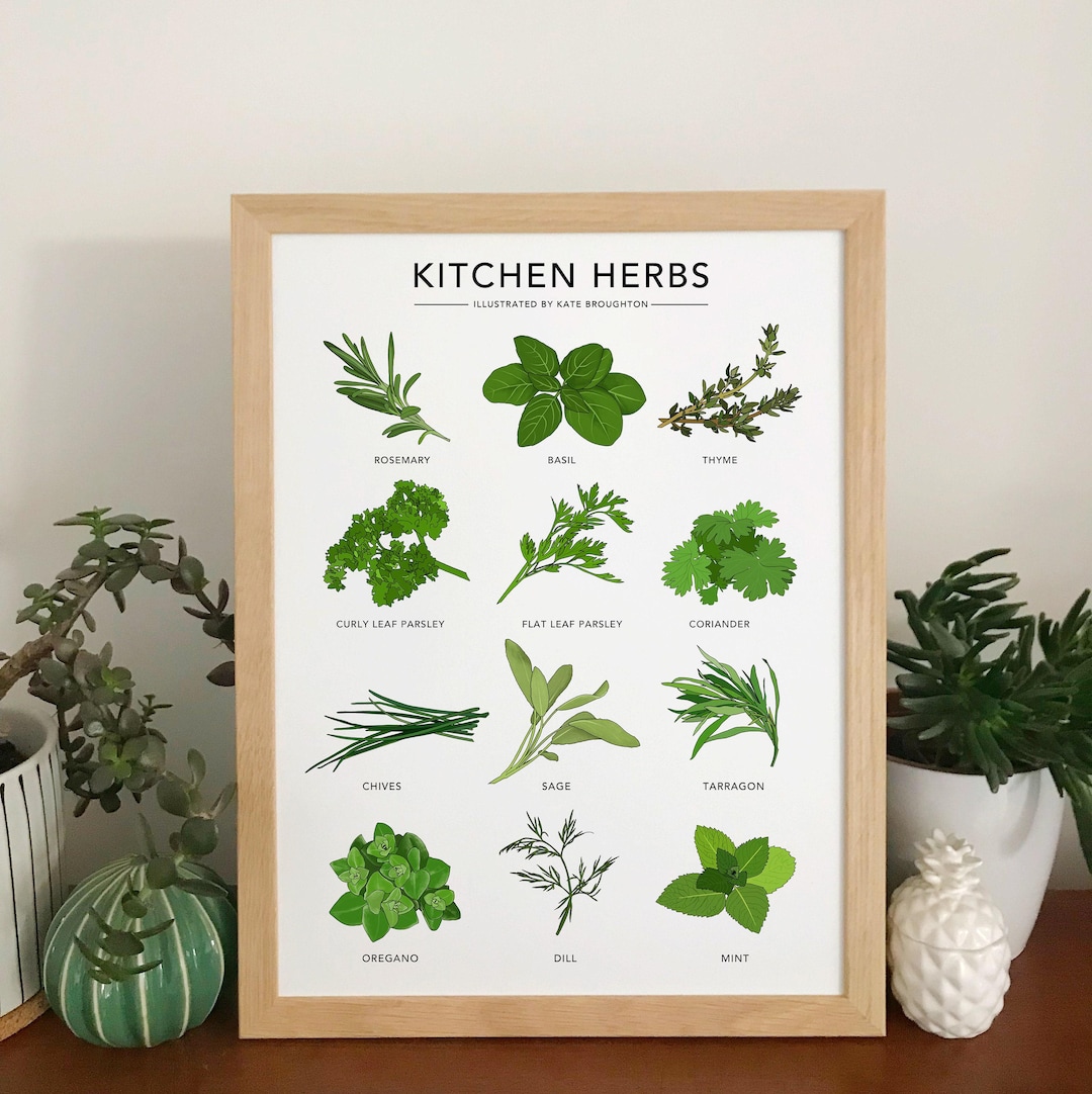 Kitchen Herbs Print - Illustrated Plant Poster - Wall Art Home Decor ...
