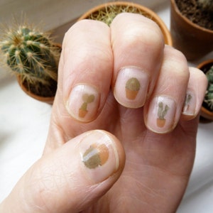 cacti nail transfers illustrated cactus nail art decals handmade plant nail art / pot plants / house plants cactus gift image 3