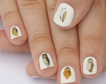 owl nail transfers - illustrated bird nail art stickers - wildlife / nature nail decals