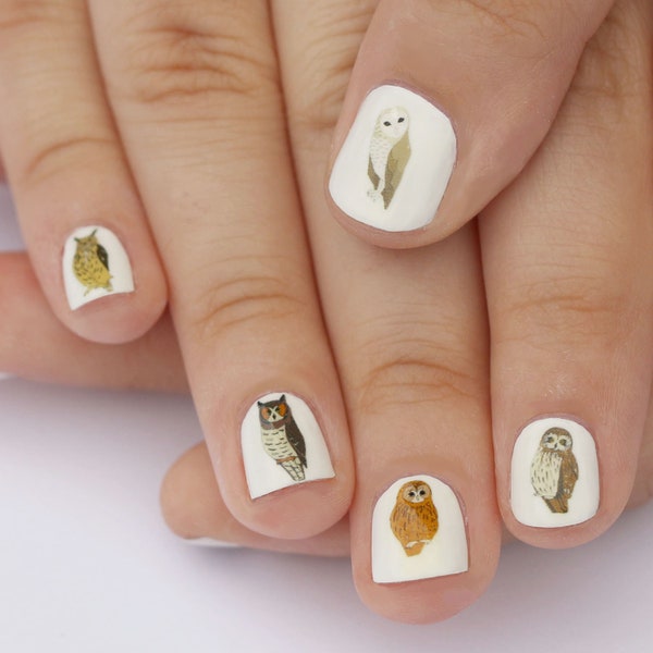 owl nail transfers - illustrated bird nail art stickers - wildlife / nature nail decals