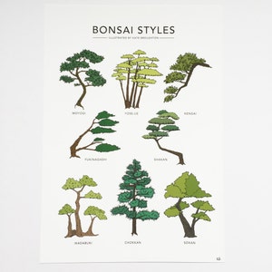 Bonsai Styles illustrated print botanical tree poster Japanese bonsai gift wall art home decor image 10