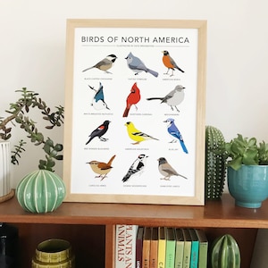 Impresión de aves de América del Norte - Póster de aves de jardín