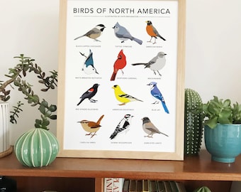 Birds of North America print - Garden Bird poster