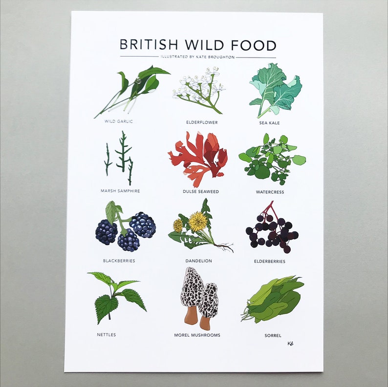 British Wild Food print wild food illustrated poster wall | Etsy