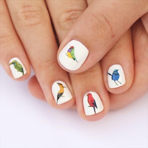 exotic bird nail transfers - illustrated nail art decals water slide- wildlife / nature / nail tattoos