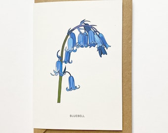 Bluebell illustrated recycled card