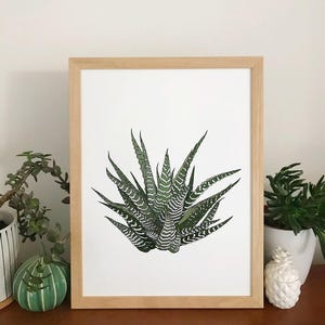Howarthia zebra plant print, original houseplant wall decor bild 1