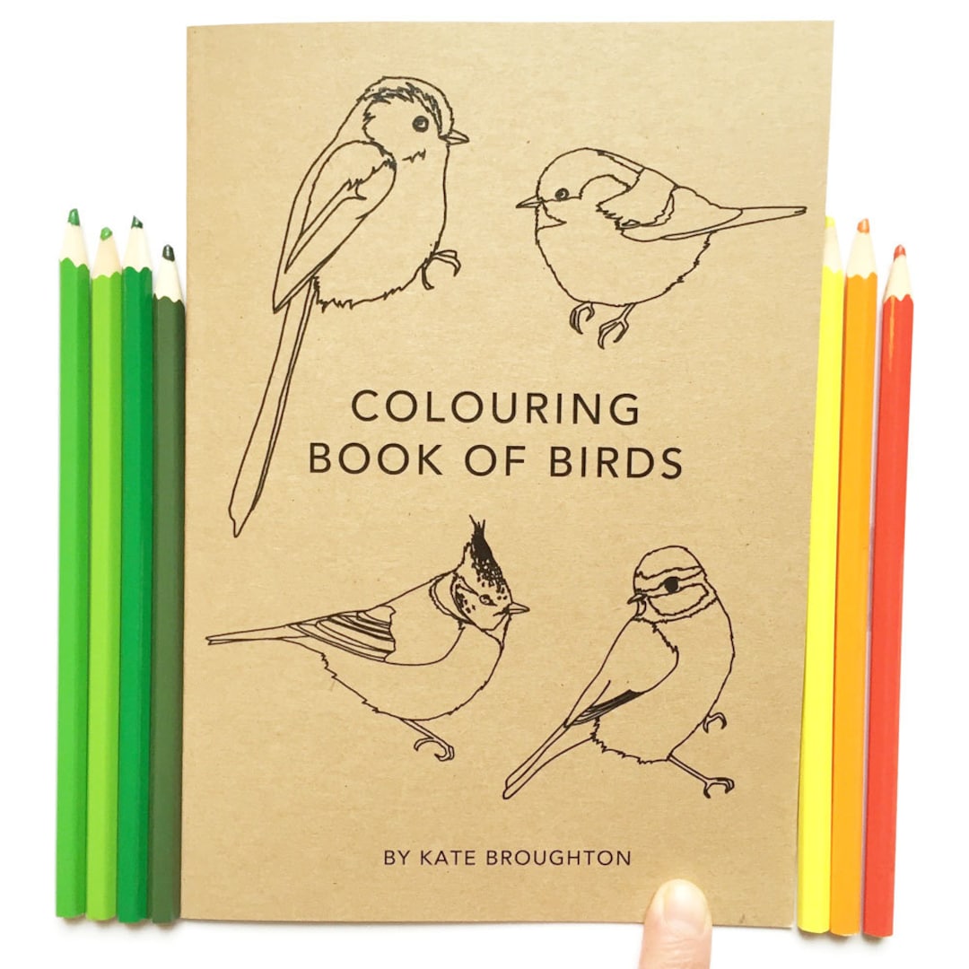 Colouring Book of British Birds 100% Recycled - Etsy