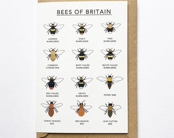 Bees of Britain illustrated eco friendly recycled card - bumblebee, honeybee, wildlife card