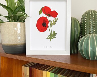 Corn poppy illustrated wildflower print - small A5 print - red poppy botanical illustration
