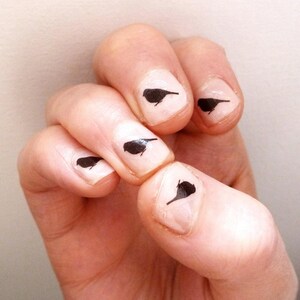 sparrow nail transfers - illustrated bird nail art water slide - black bird decals - nature / wildlife nail art image 3