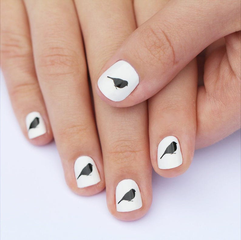 sparrow nail transfers - illustrated bird nail art water slide - black bird decals - nature / wildlife nail art image 1