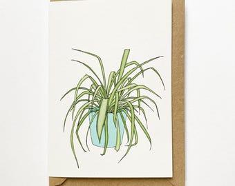 spider houseplant card /pot plant illustrated eco friendly recycled card