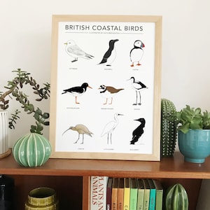 British Coastal Birds print image 1