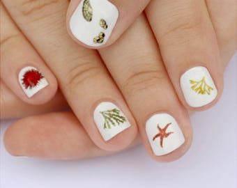 beach combing nail transfers - illustrated shells, seaweed, anemone, starfish nail art decals