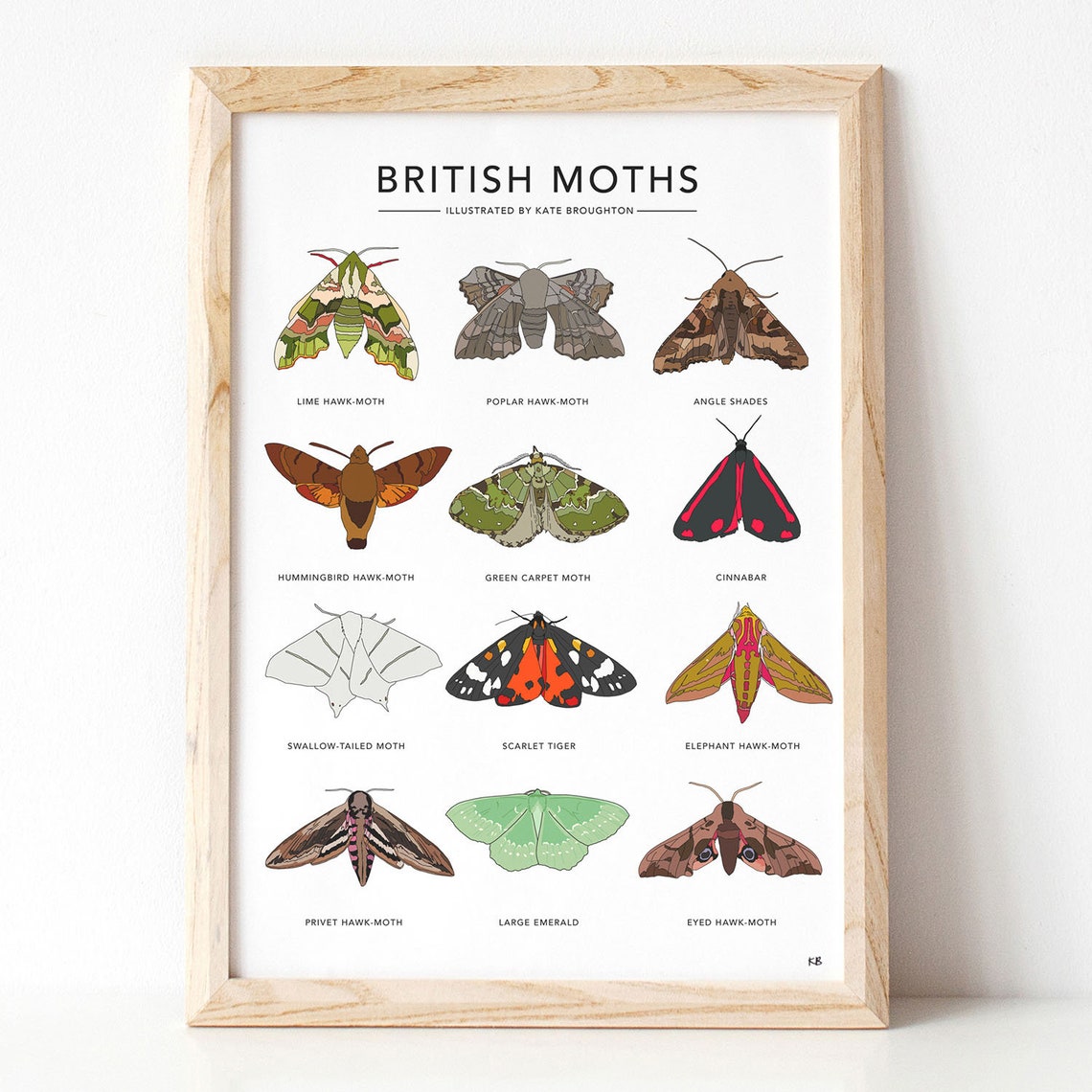 British Moths Print Nature Poster / Wall Art | Etsy