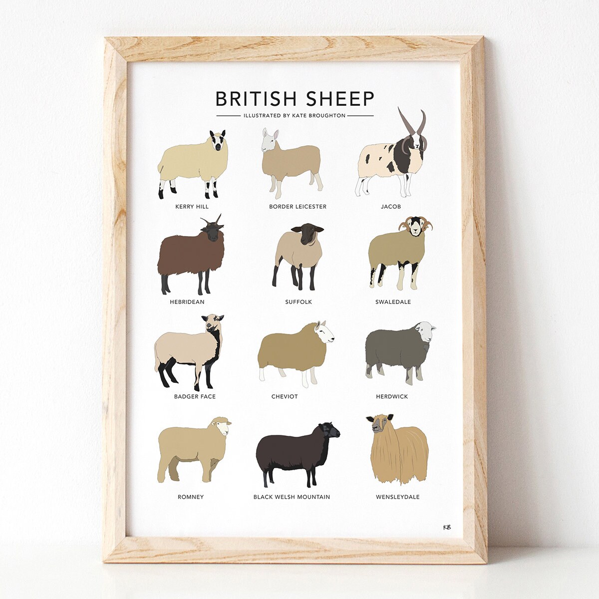 British Sheep Breeds Illustration Print | Etsy UK