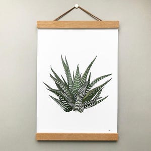 Howarthia zebra plant print, original houseplant wall decor bild 3