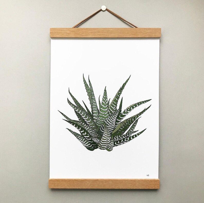 Howarthia zebra plant print, original houseplant wall decor bild 3