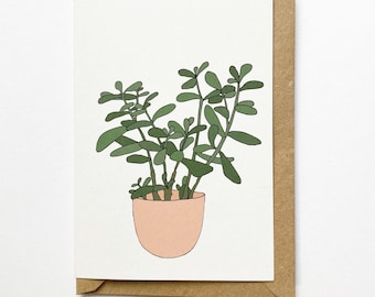 Jade houseplant card /pot plant illustrated eco friendly recycled card