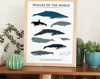 Whales of the World print illustration