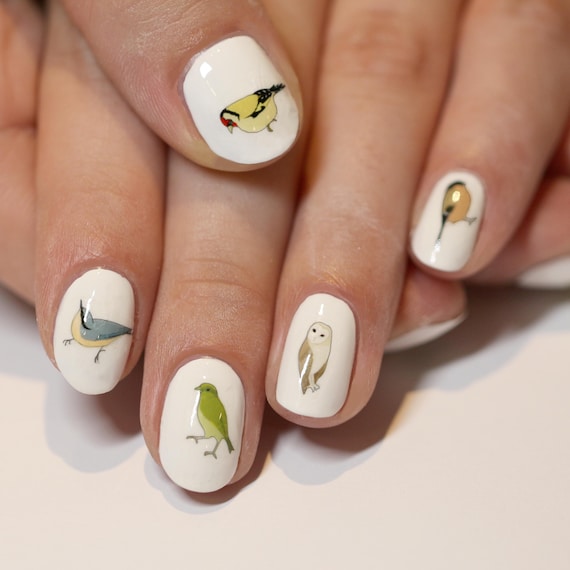 bird nail art transfers - hand drawn illustrated water decals - handmade wildlife / nature / nail tattoos