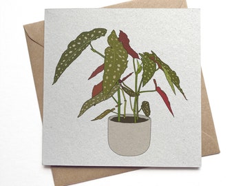 begonia maculata houseplant card - illustrated plant recycled eco friendly card