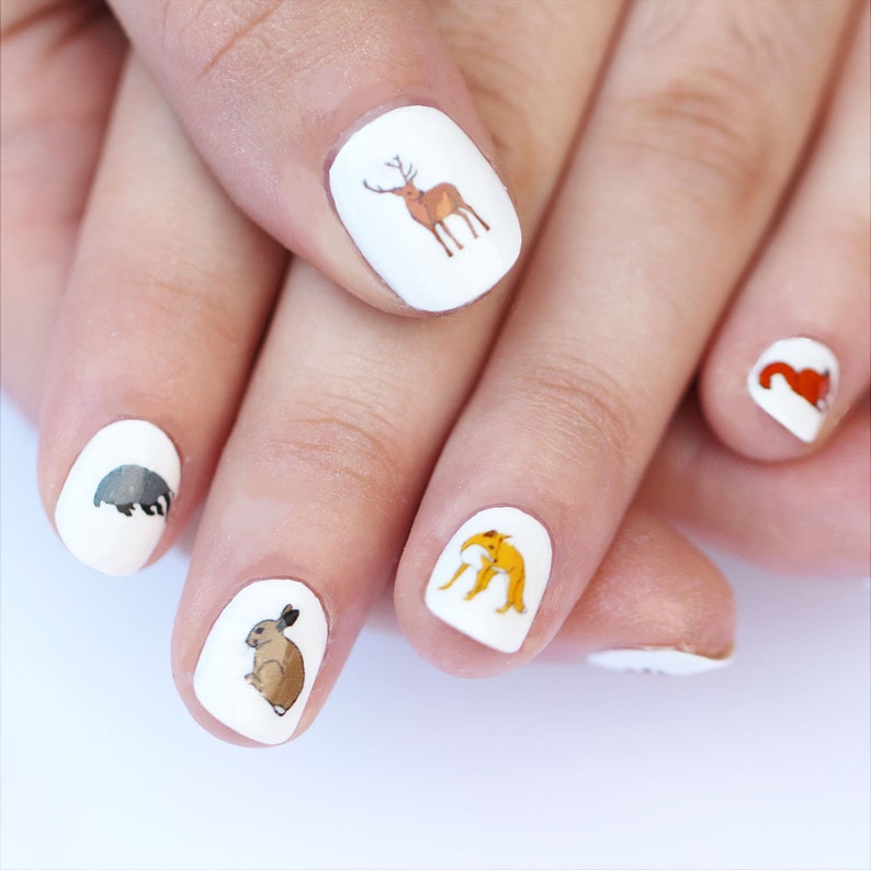 woodland nail transfers illustrated animal nail art decals squirrel , fox , rabbit , badger , deer , dormouse wildlife nail stickers image 7