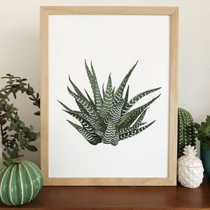 Howarthia zebra plant print, original houseplant wall decor bild 5