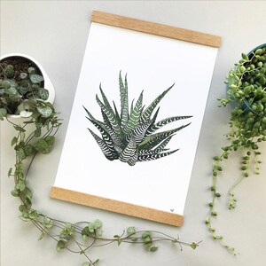 Howarthia zebra plant print, original houseplant wall decor bild 4