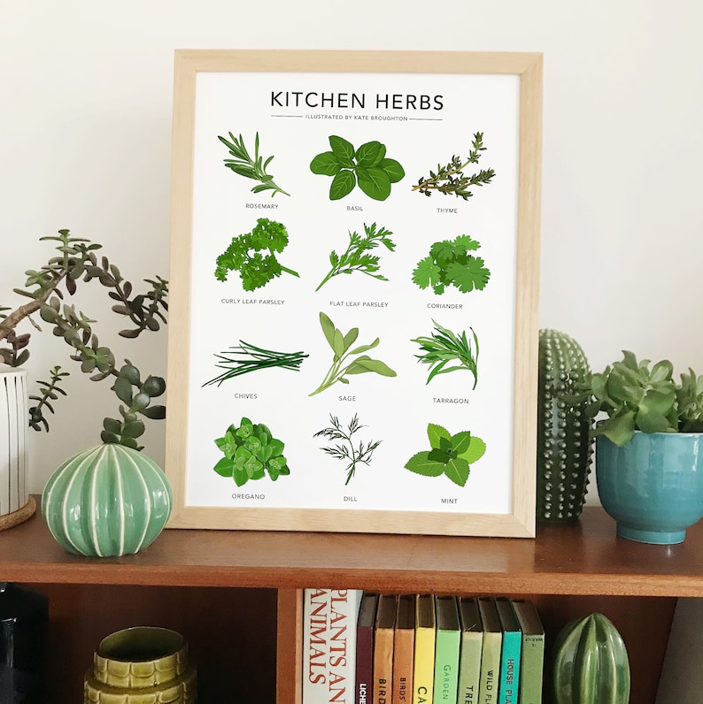 Kitchen Herbs Print Illustrated Plant Poster Wall Art Home Etsy
