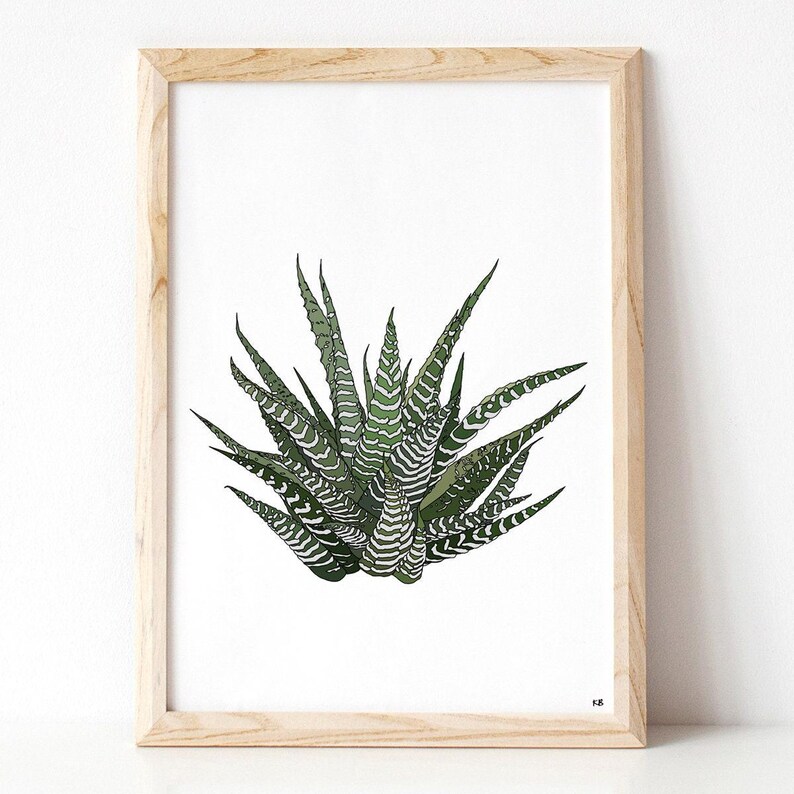 Howarthia zebra plant print, original houseplant wall decor bild 6