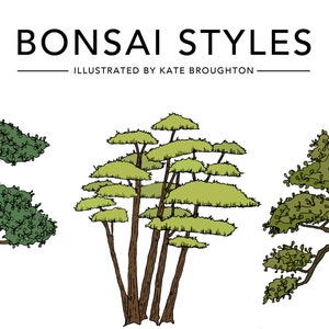 Bonsai Styles illustrated print botanical tree poster Japanese bonsai gift wall art home decor image 9