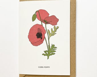 Corn poppy illustrated recycled card