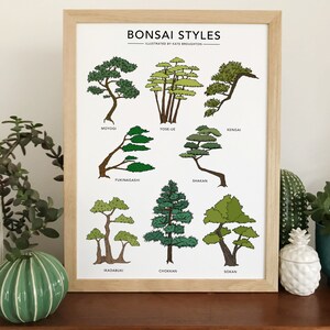 Bonsai Styles illustrated print botanical tree poster Japanese bonsai gift wall art home decor image 4