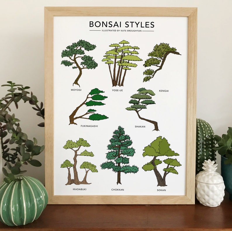 Bonsai Styles illustrated print botanical tree poster Japanese bonsai gift wall art home decor image 4