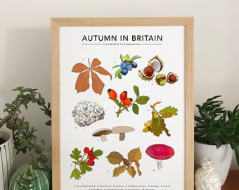 Autumn in Britain - illustrated wall art