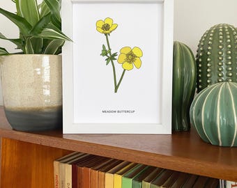 Buttercup illustrated wildflower print - small A5 print - botanical illustration